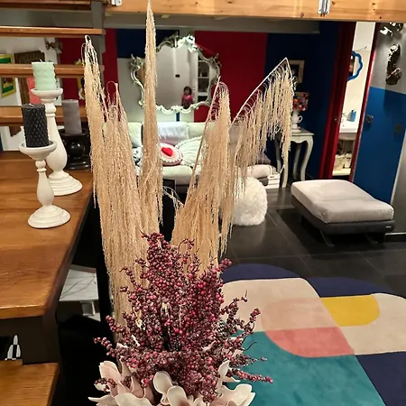 A Casa Di Emma *